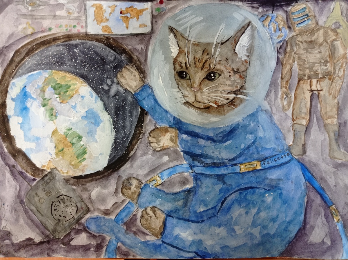Фелисетт, первая кошка в космосе