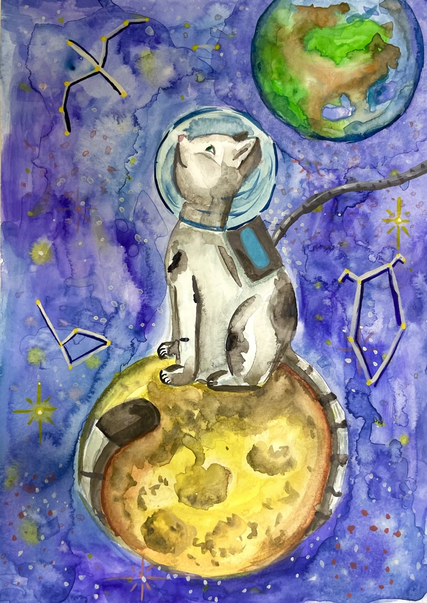 Фелисетт - кошка-космонавт
